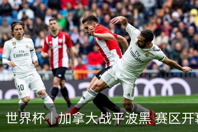 世界杯｜加拿大战平波黑 赛区开幕式表演“翻车”